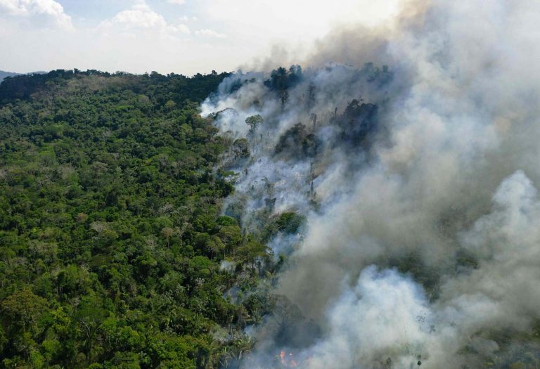 Metsäpalo leviää sademetsässä laajalla alueella. Vasemmalla vielä vaurioitumatonta metsää. Oikea puoli kuvasta sankan savun peitossa.